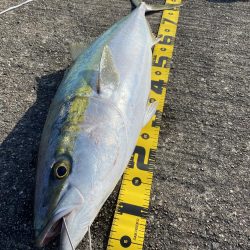 鰤90.0cm  6.5kg初ゲット❤︎