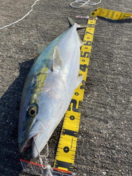 鰤90.0cm  6.5kg初ゲット❤︎