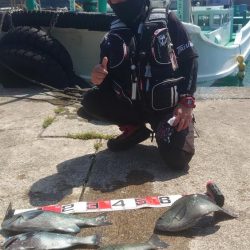 須江の沖磯で尾長狙い!