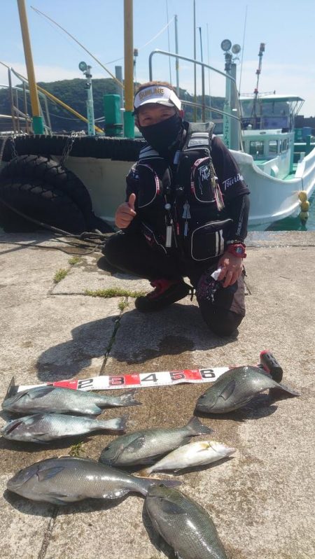 須江の沖磯で尾長狙い!