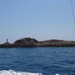 周参見で尾長狙い！