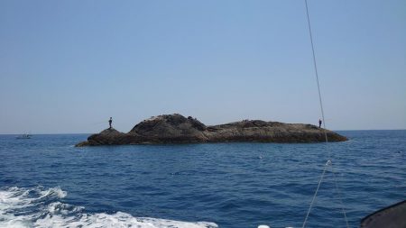 周参見で尾長狙い！