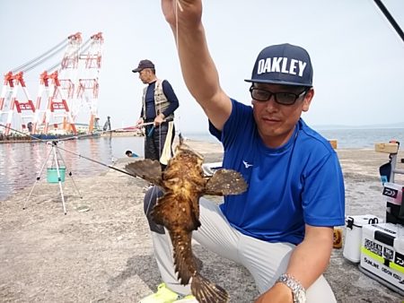 朝一の活性が良かったようです