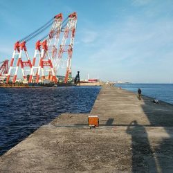 今日は買い物待ち釣行です