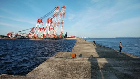 今日は買い物待ち釣行です