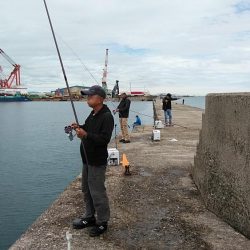 良型キスが釣れ始めました