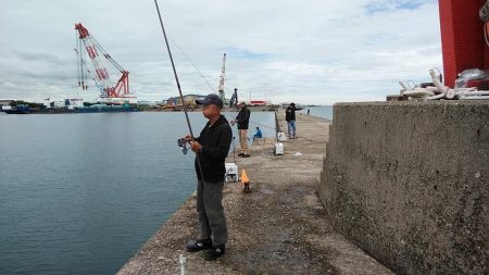 良型キスが釣れ始めました