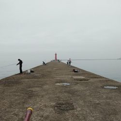 活性が一気に下がりました