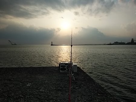 午後から播磨新島のキス調査