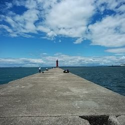 今シーズン１９回目の播磨新島釣行