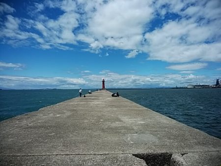 今シーズン１９回目の播磨新島釣行