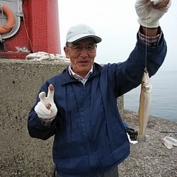 良型キスが釣れf始めました