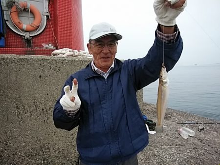 良型キスが釣れf始めました