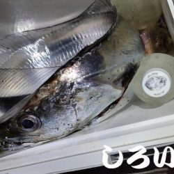 ドラゴン狙いでチャレンジ遠征。