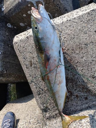 今年初のショアジギング！