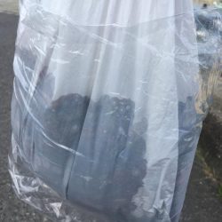 タコフィネスで5kg