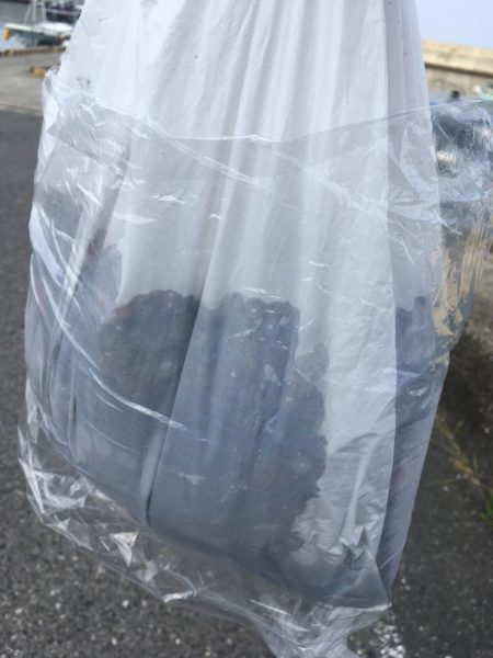 タコフィネスで5kg