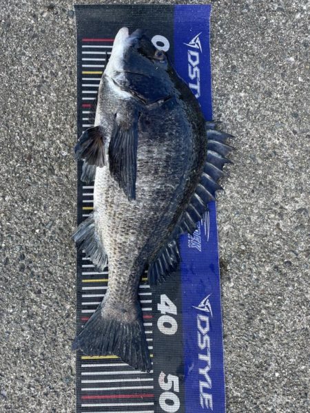 イチノ兄弟、釣果！