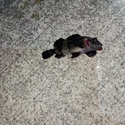 林崎漁港から移動してみました♪