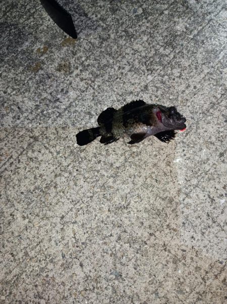 林崎漁港から移動してみました♪