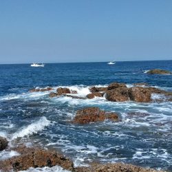 フカセ‥最高ですネ・・