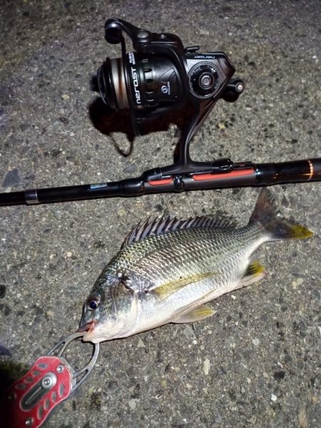 2022/06/23 南港ライトゲーム釣行…