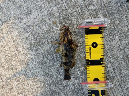 ~風の強い夕方に~