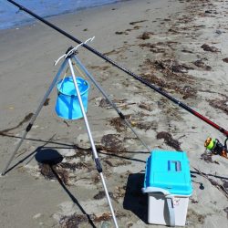 梅雨明け猛暑のキス釣り