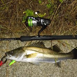 水位の高いコンディションでのカケアガリの攻め