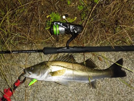 水位の高いコンディションでのカケアガリの攻め