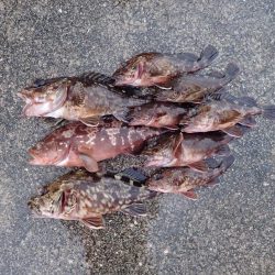 終了間際に会心の一撃(^^)