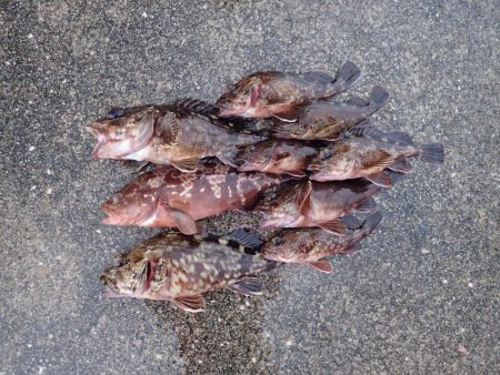 終了間際に会心の一撃(^^)