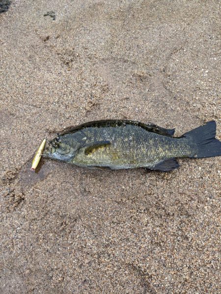 栄光のRJペンシル