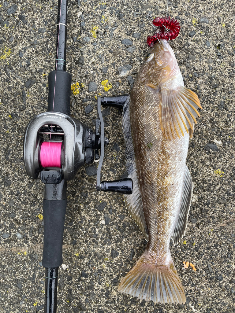 初の東北遠征でモンスターゲット!