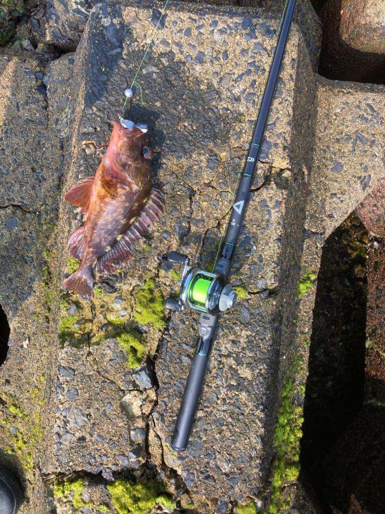 2022釣行37日目/穴釣り14回目