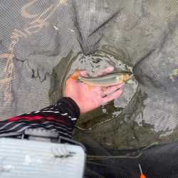 曇りのち豪雨🌩⛈コンパクト錨ケース