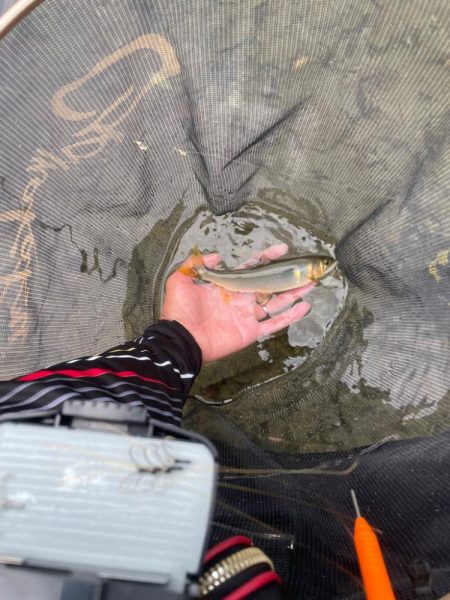 曇りのち豪雨🌩⛈コンパクト錨ケース
