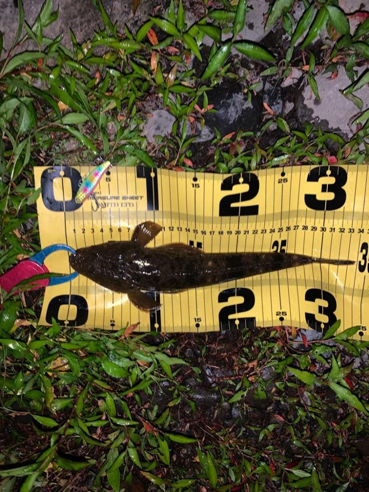 久しぶりのスズキサイズ(^^)