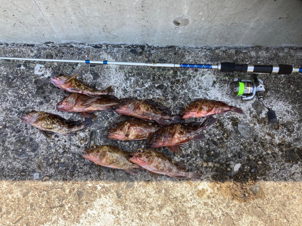 穴釣り 2022年13回目