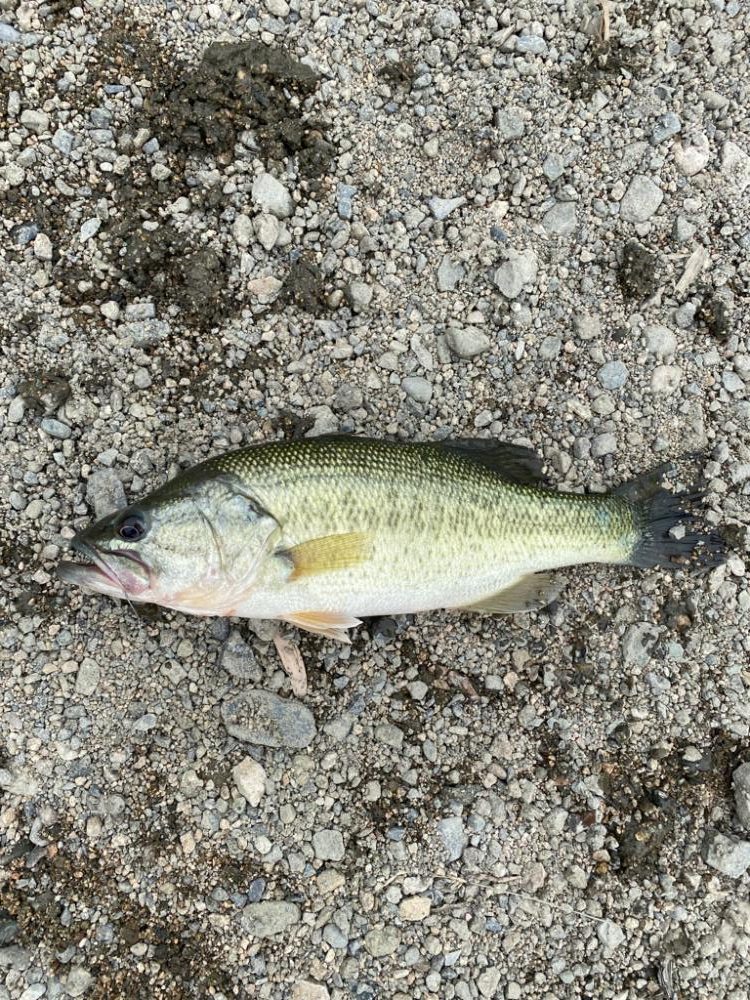 久しぶりの釣行！