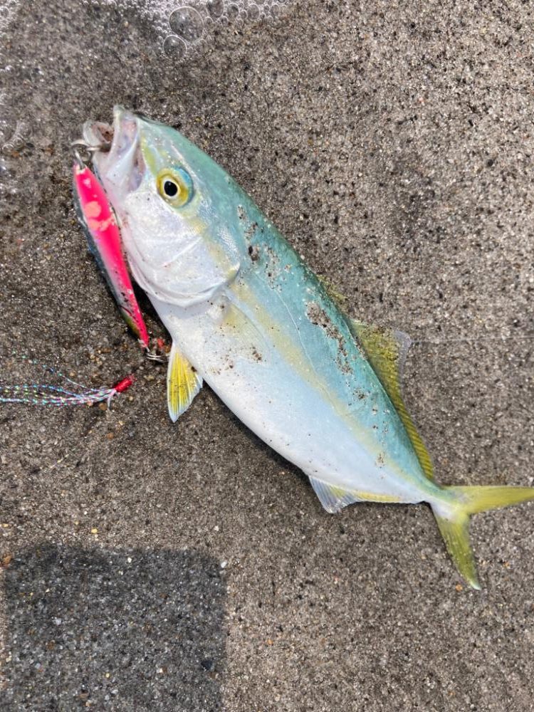 吹上浜五目釣り