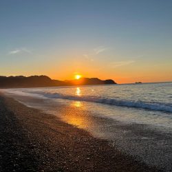 ジャックアイ豆マキマキでシオ連発