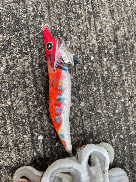 夕まずめ1時間エギング