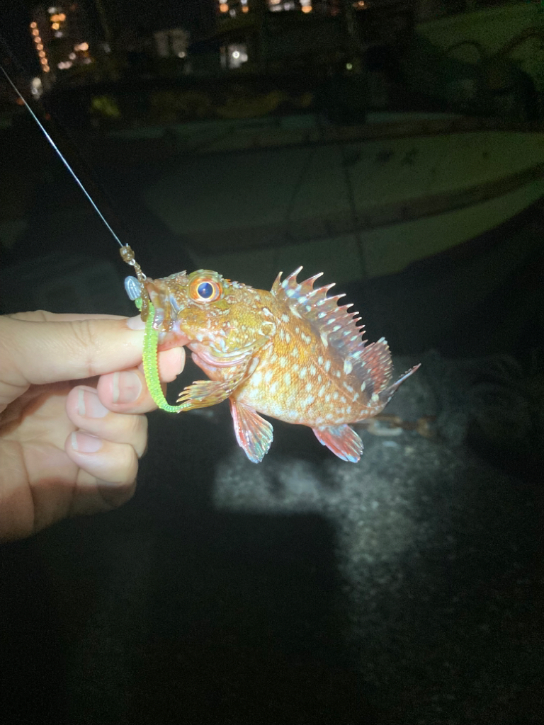 寄り道メバリング