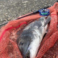 自己記録更新！