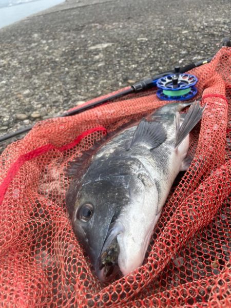 自己記録更新！