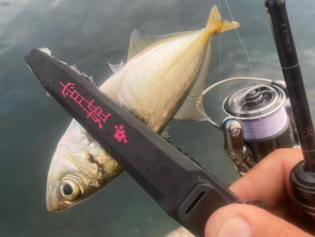 宵姫天S52UL鱗付け