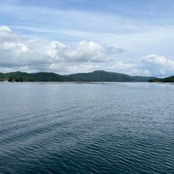 最後のグロッキー、まさかの大物（笑）