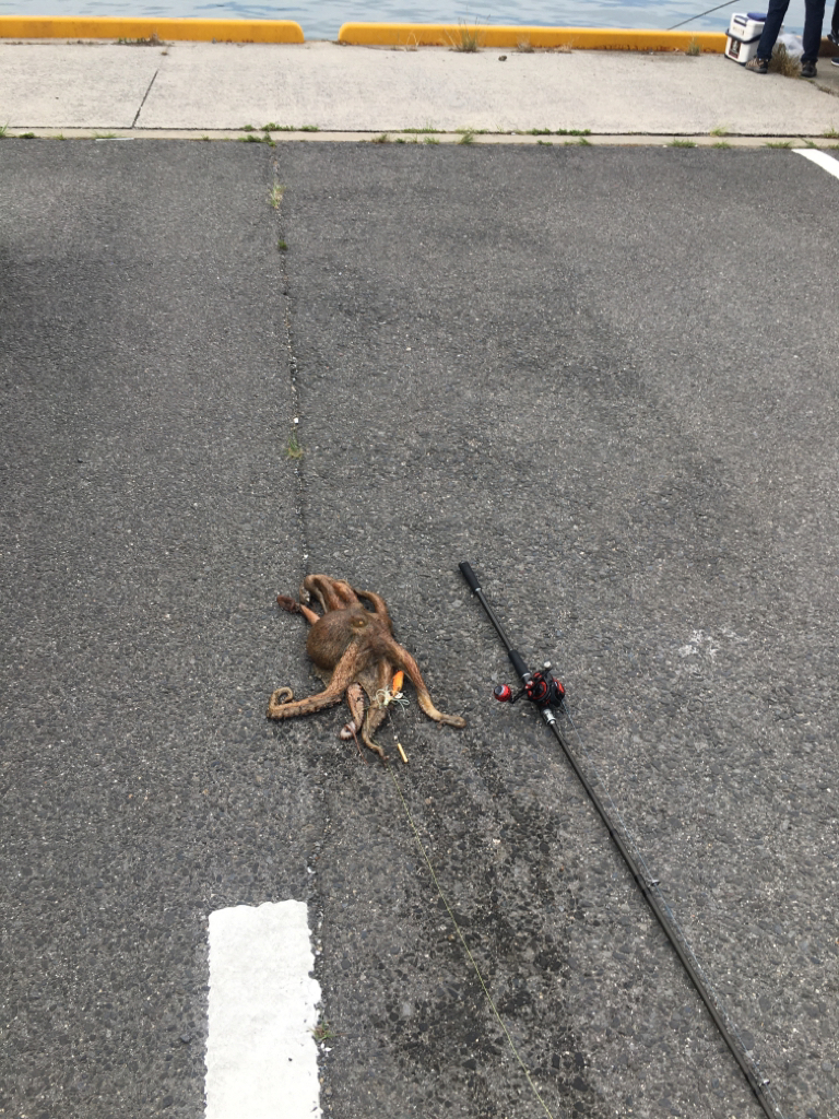 自己最高を更新