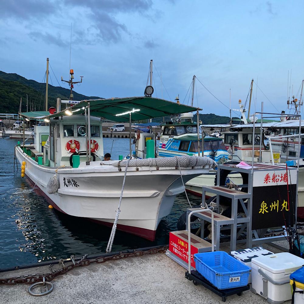 泉州丸さんでアジ五目釣り